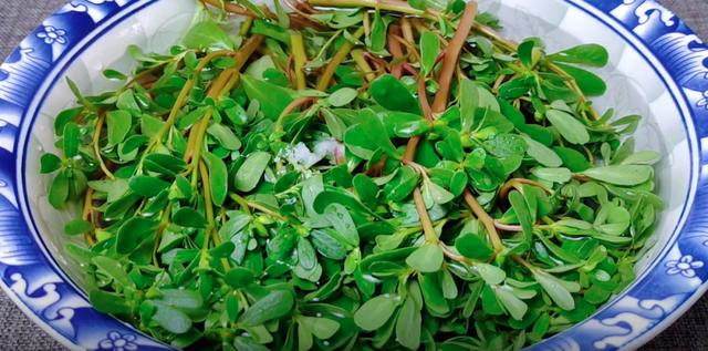 广东最好吃的长寿菜 12月必吃这个长寿菜(3)