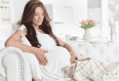 怀了两个宝宝数胎动双胞胎数胎动的方法技巧