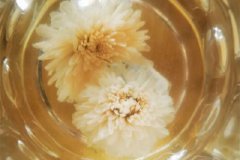 菊花茶哪种菊花好？菊花茶是胎菊好还是大菊花好