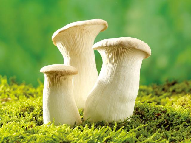 干炸杏鲍菇丝的做法 香酥小零食--干炸杏鲍菇(2)