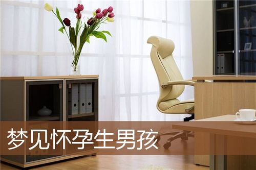 孕妇梦见自己生的男孩什么意思(孕妇梦见生男孩是什么意思)