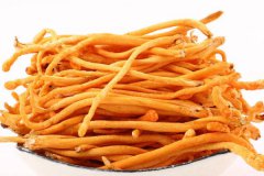 虫草花的科学吃法禁忌虫草花的用量多少合适