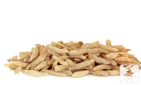 麦冬和黄芪泡水喝功效 麦冬和黄芪泡水喝功效