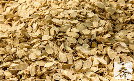 麦冬和黄芪泡水喝功效 麦冬和黄芪泡水喝功效