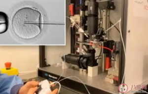 全球首批机器受精试管婴儿出生是真的吗 机器人受精有何意义 全球首批机器受精试管婴儿出生是真的吗 机器人受精有何意义