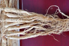 白参会过敏吗？什么人不能吃白参