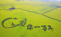 江苏出发青海日自驾游：青海湖
