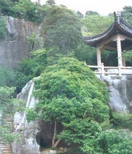 广东十大旅游景点排行榜 广东有什么好玩的地方去旅游