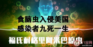 食脑虫是什么 食脑虫生长在什么地方