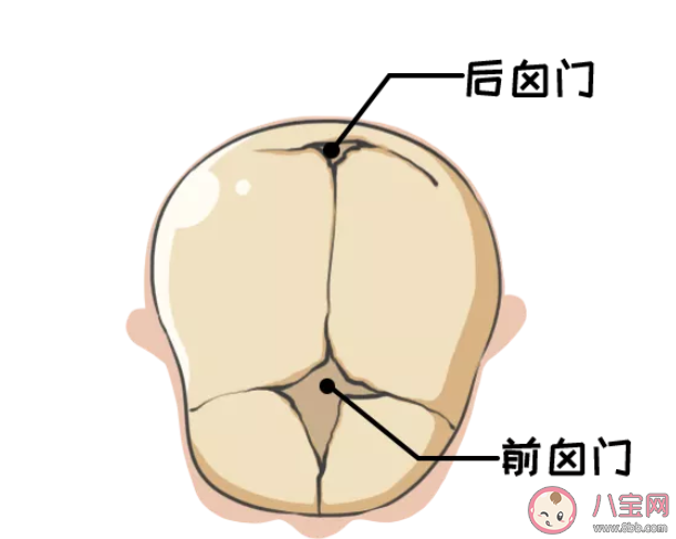 宝宝前囟门很小会影响大脑发育吗 前囟门很小严重吗
