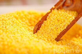 吃红糖小米粥,养胃补气血