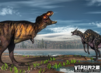 1594191848422079.png image.png