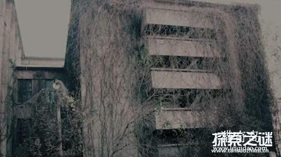 北京劲松鬼楼灵异事件，被恶鬼侵蚀的恐怖小区