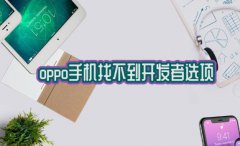 OPPO手机开发者选项在哪里打开OPPO手机忽然连不上无线网