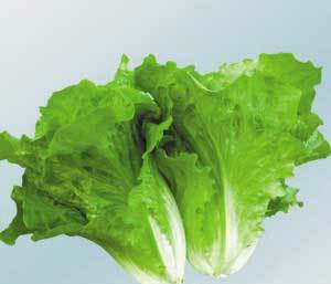 哪些蔬菜有利于孩子发育