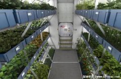 在太空中种植植物？提供光线和适宜的温度 具有挑战性