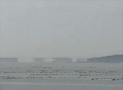 蓬莱八仙过海景区惊现海市蜃楼？网友直呼：好神奇