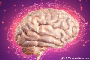 自然醒后为何大脑会清爽 大脑有自动洗脑功能(记忆力好)