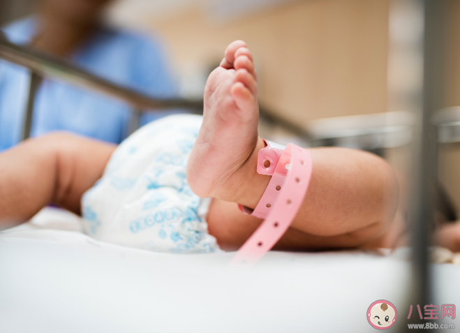 专家建议给生孩子的人发薪水 这个建议合理吗 专家建议给生孩子的人发薪水 这个建议合理吗