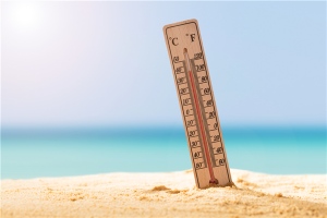 北方今年首轮高温来袭：14日起多地冲击35℃高温