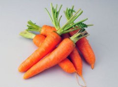 秋季脸部五官防干燥