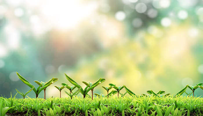 摄图网_401696003_banner_希望萌发（企业商用）_副本.jpg