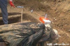 中国哪一年出现了僵尸在哪里闹过僵尸，19