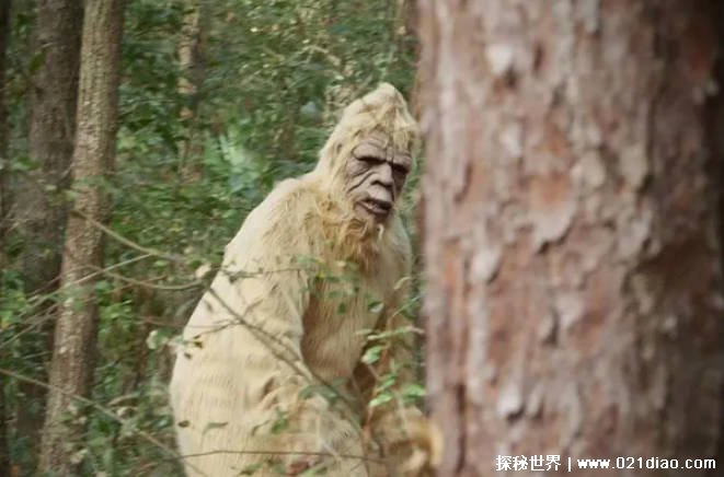 大脚野人真实存在吗 目前没有科学技术可证明(人形生物)