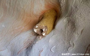 云南山区神秘洞穴 疑似外星人访问地球的证据(未解之谜)