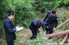 反黑警察莫名其妙消失在大山至今是未解之谜