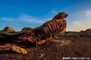 被称为亚洲大陆上的魔鬼三角区 罗布泊较恐怖(至今未解)