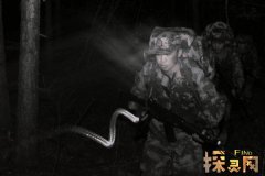 1987陕西夜狸猫事件有人看见无数个不明飞行物从高空飞过