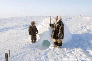 为何因纽特人在雪屋里睡觉不穿衣服 温度不低(技术高超)