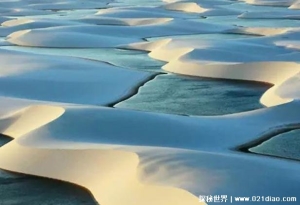 遍地湖泊鱼虾成群的沙漠 巴西千湖沙漠较神奇(失败的沙漠)