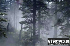 瓦屋山迷魂凼现象：和百慕大三角一样神秘，连科学都无解!