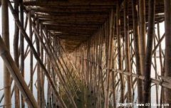 由竹子构成的一座桥梁 每年都要拆建一次全长1005米