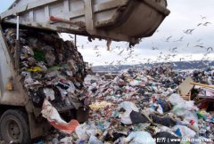 印度最大垃圾场 布洛根垃圾场生活几千只大鸟占地面积大