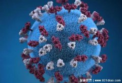 ？神秘的病毒入侵细胞？由外向内入侵细胞 危害较大