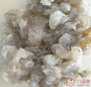 冷冻虾仁能放心吃吗？虾仁放冰箱冷冻能放多久