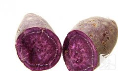 紫薯属于碳水化合物是真的吗