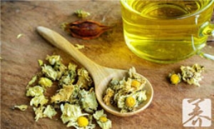 菊苣能治痛风吗 菊苣能治痛风吗