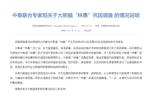 旅泰大熊猫“林惠”死因调查结果出炉:多器官功能衰竭