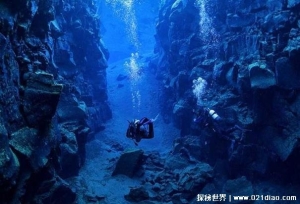  马里亚纳海沟的沟底有没有大型生物 不会存在(没有氧气)