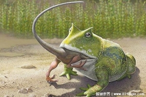  7000万年前的史前巨蛙 魔鬼蛙专门捕食恐龙(咬合力大)