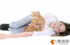 母猫生小猫时主人应判断是否生完