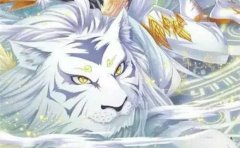 同样是上古血脉，虎王蓝蝴蝶和黄金狮虎谁更强蓝轩宇给出答案同样是上古血脉