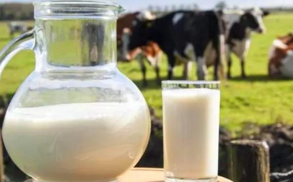 孕妇喝脱脂牛奶还是全脂牛奶好?全脂牛奶怎么喝