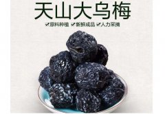 天山乌梅功效与作用？乌梅的药用价值有哪些？