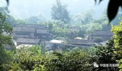 茶山揭秘系列之蛮砖倚邦茶山揭秘系列之蛮砖