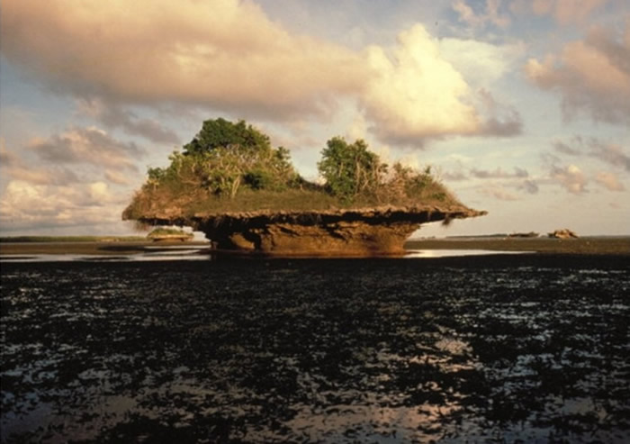 亚达伯拉环礁一度被淹没。</p><p>